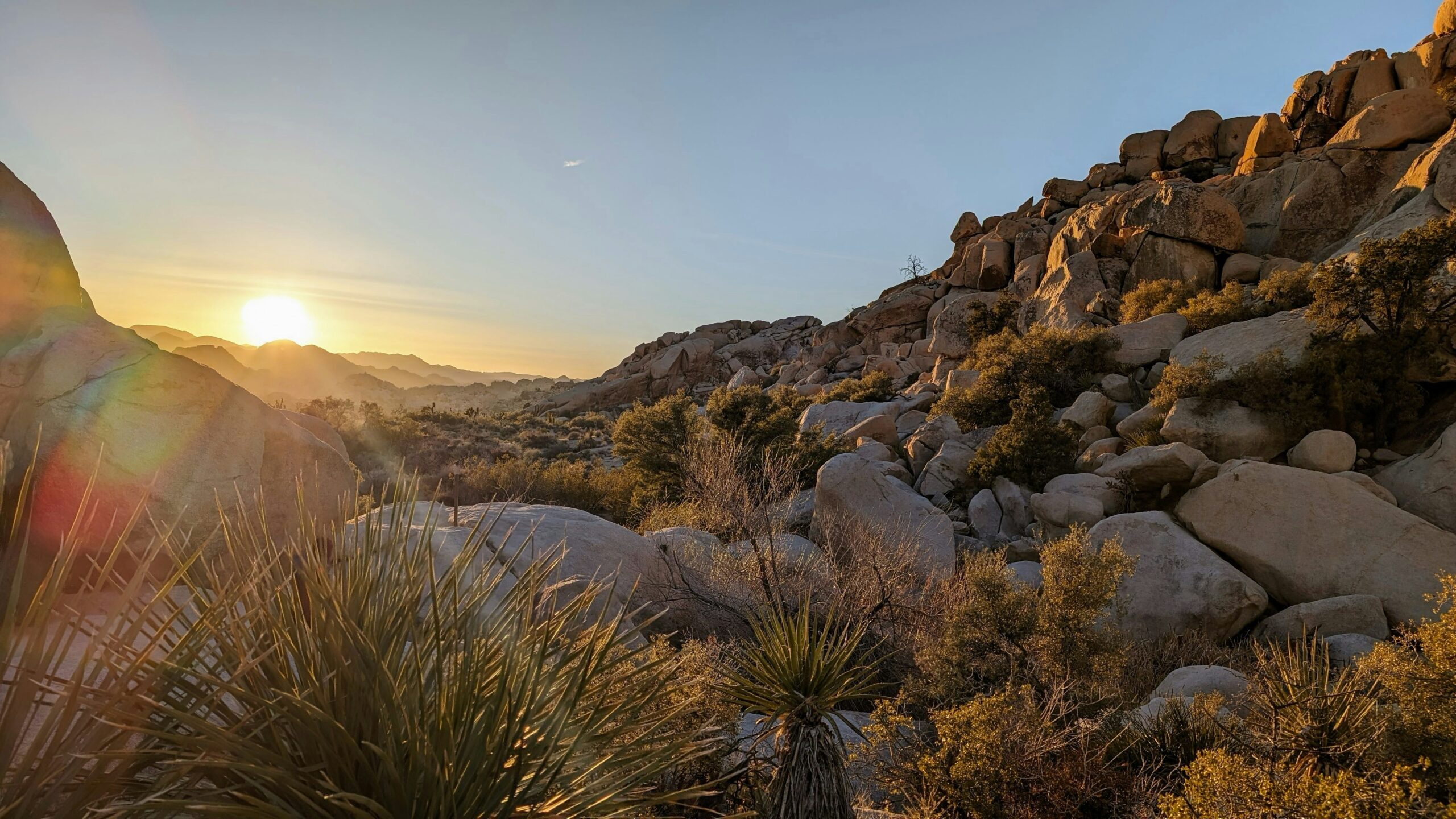 patrick-adlam-_XcXnB3rOu4-unsplash